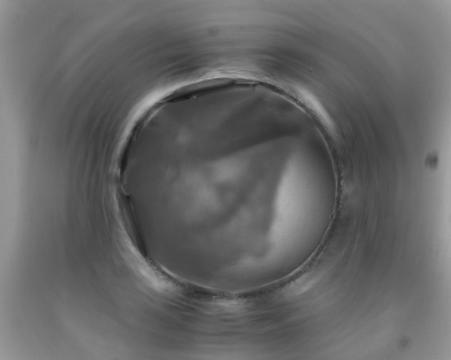 X0000092001035200709061435