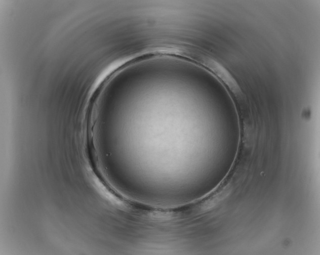 X0000092001036200709061435