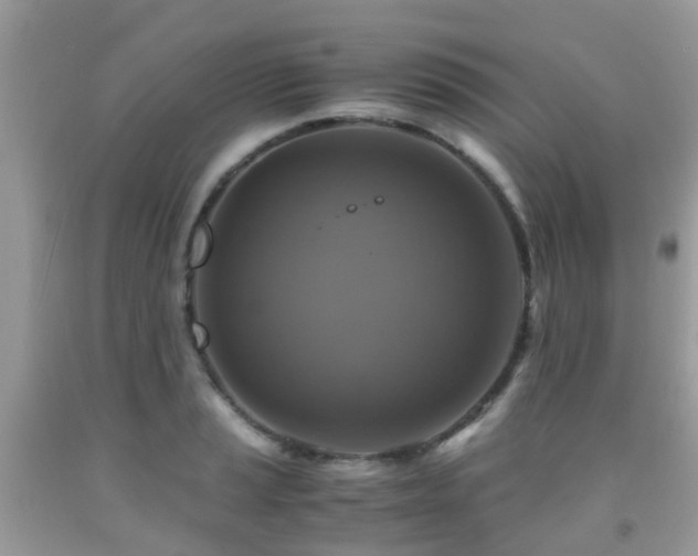 X0000092001037200709061435