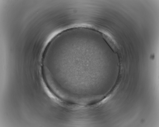 X0000092001038200709061435
