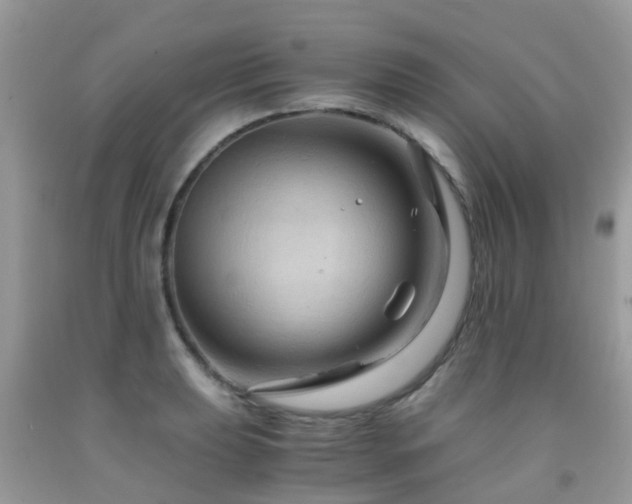 X0000092001039200709061435