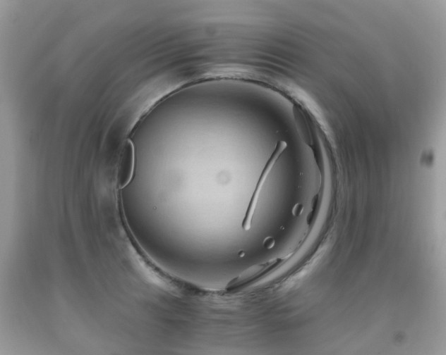 X0000092001041200709061435