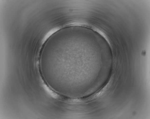 X0000092001042200709061435