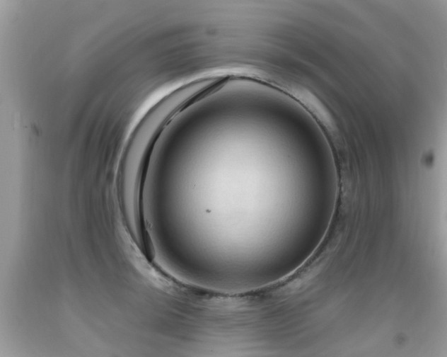 X0000092001044200709061435