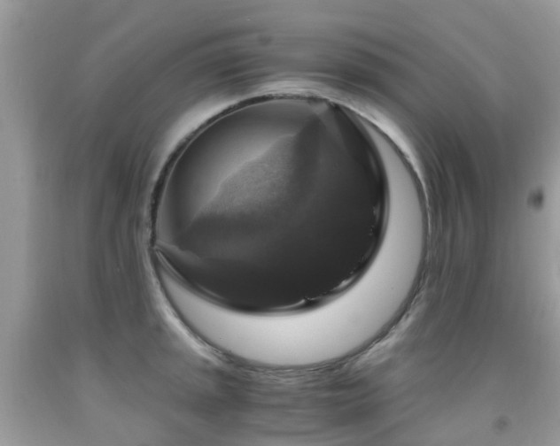 X0000092001045200709061435