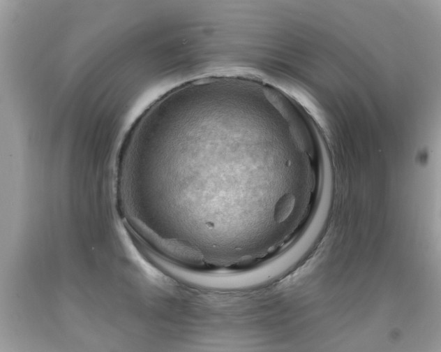 X0000092001046200709061435