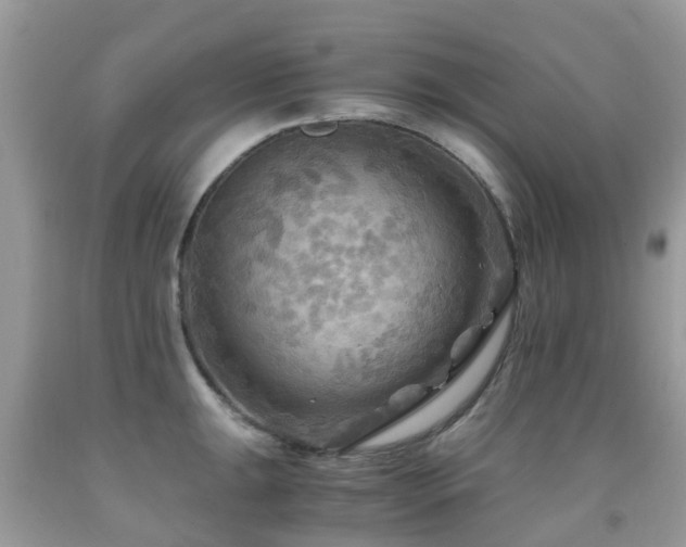 X0000092001047200709061435