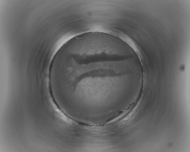 X0000092001048200709061435