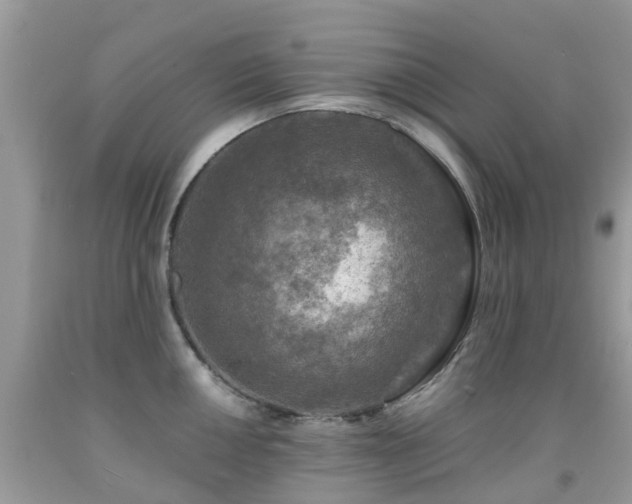 X0000092001050200709061435