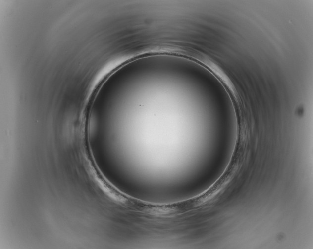 X0000092001053200709061435