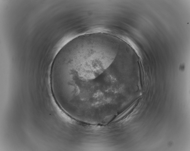 X0000092001055200709061435