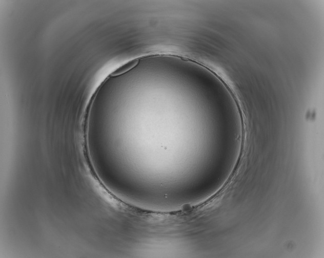 X0000092001056200709061435