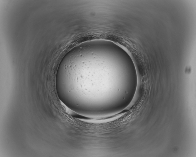 X0000092001057200709061434