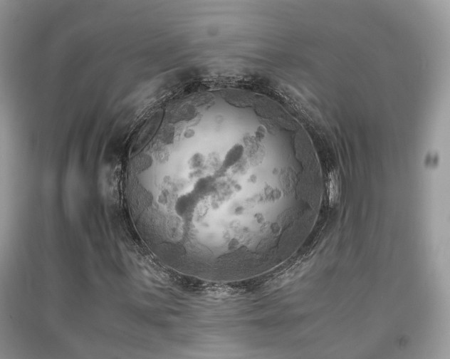 X0000092001059200709061434
