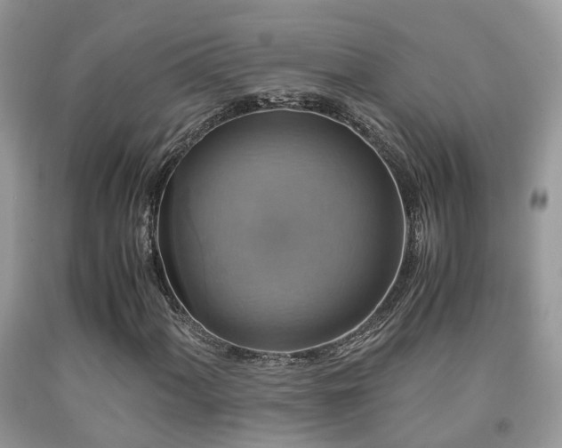 X0000092001060200709061434