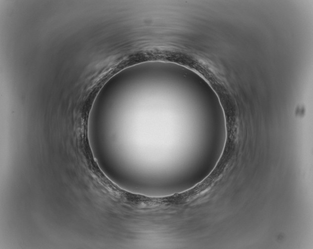 X0000092001061200709061434