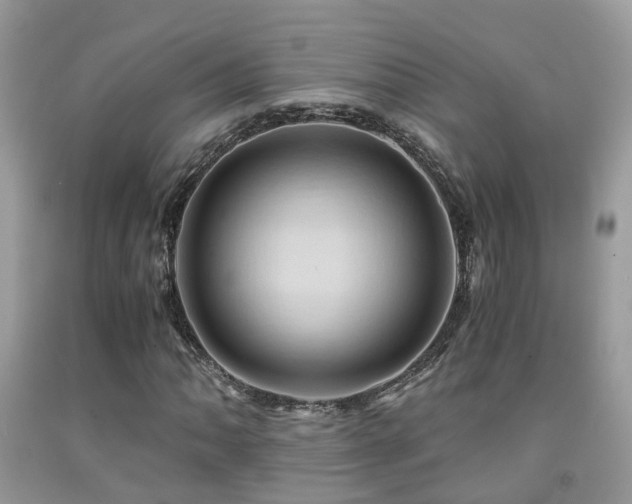 X0000092001062200709061434