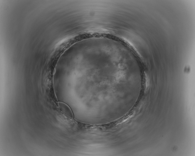X0000092001063200709061434