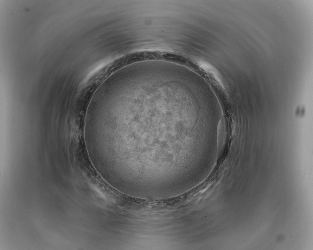 X0000092001064200709061434