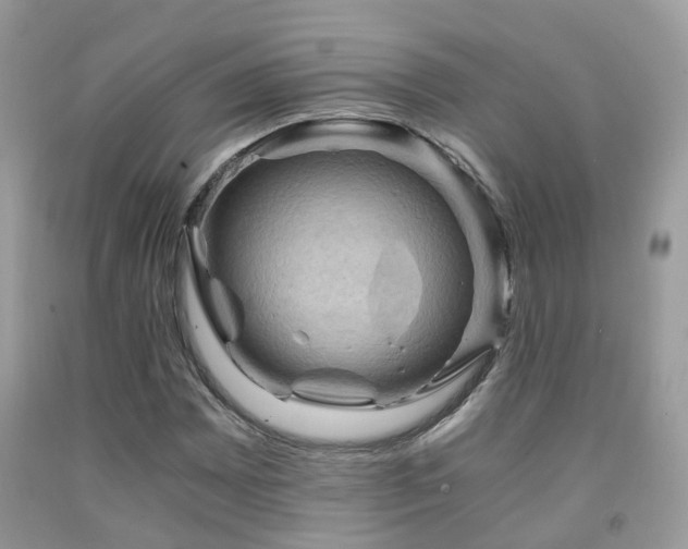 X0000092001065200709061434