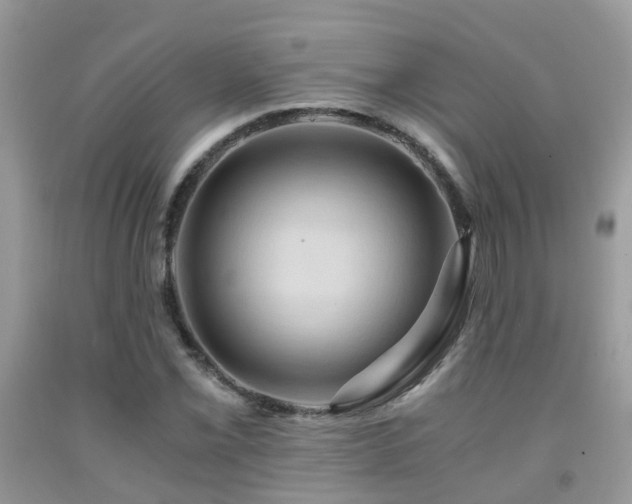X0000092001069200709061434