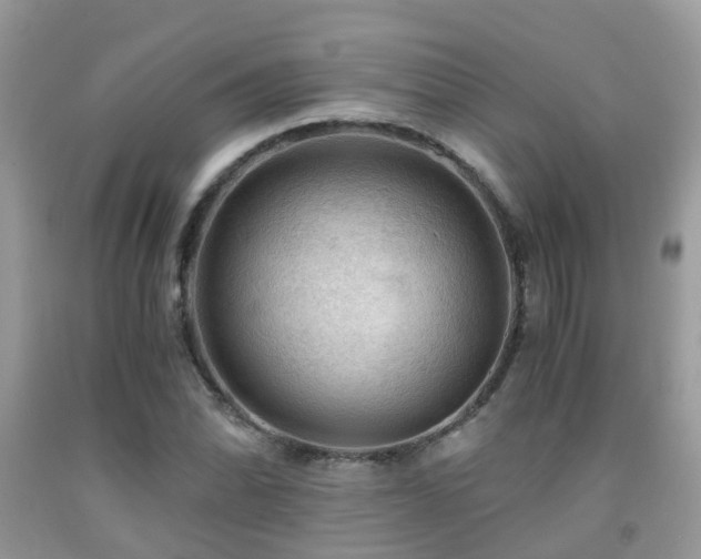 X0000092001070200709061434