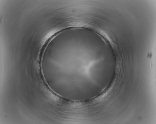 X0000092001071200709061434