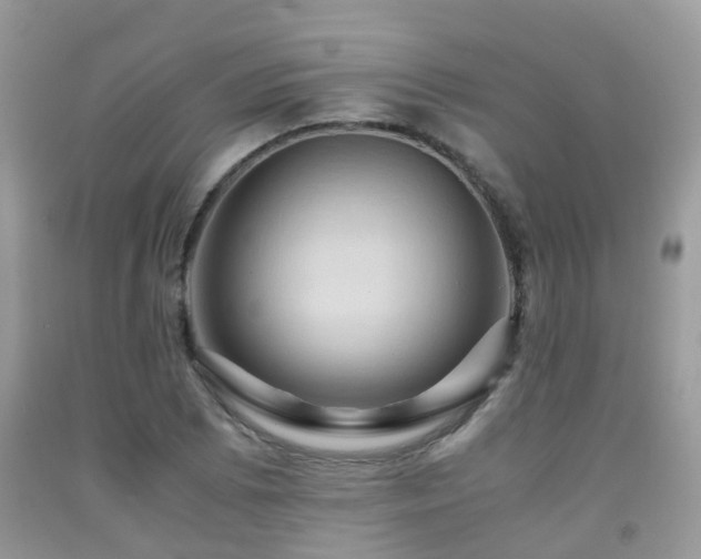 X0000092001073200709061434