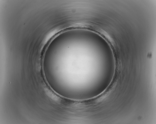 X0000092001075200709061434