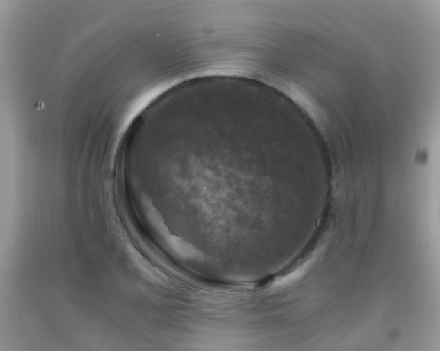 X0000092001077200709061434