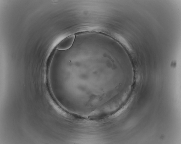 X0000092001079200709061434