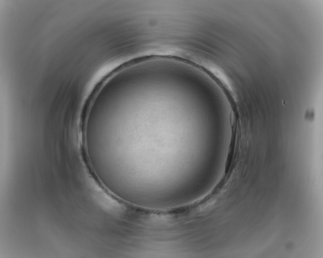 X0000092001080200709061434