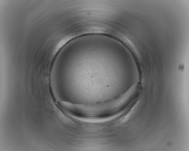 X0000092001081200709061434