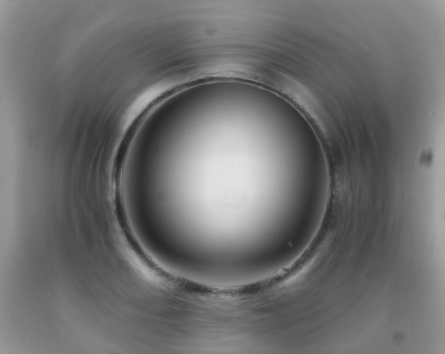X0000092001082200709061434