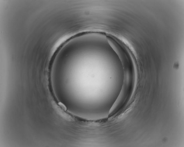 X0000092001085200709061434