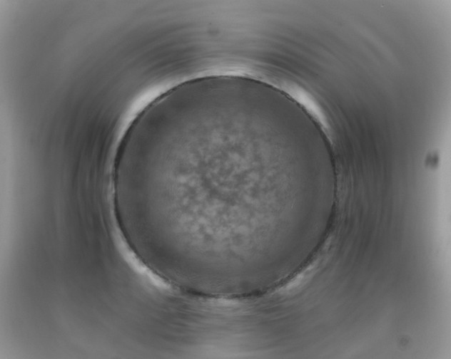 X0000092001088200709061434