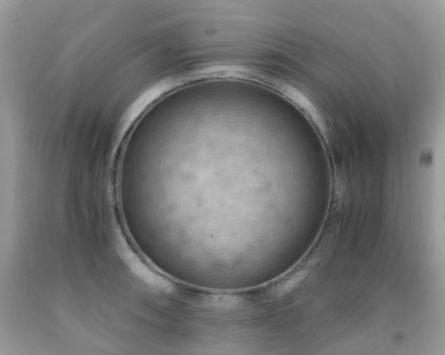 X0000092001090200709061434