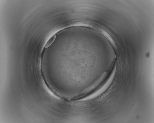 X0000092001092200709061434
