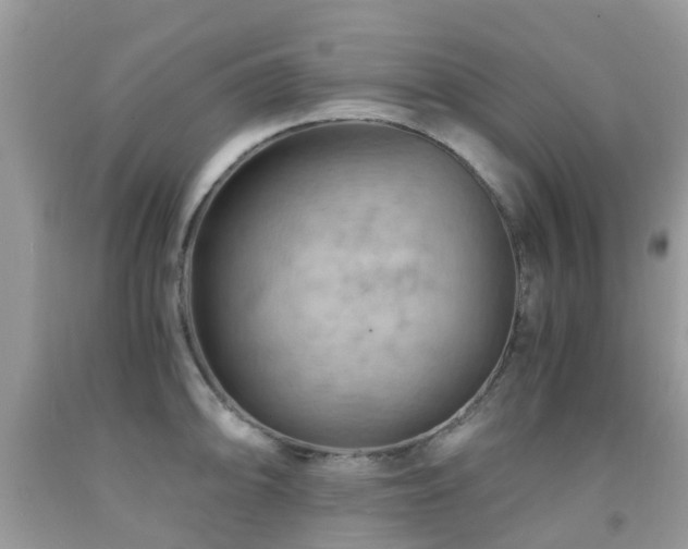 X0000092001094200709061434