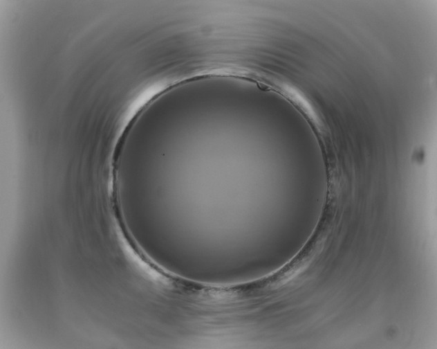X0000092001095200709061434