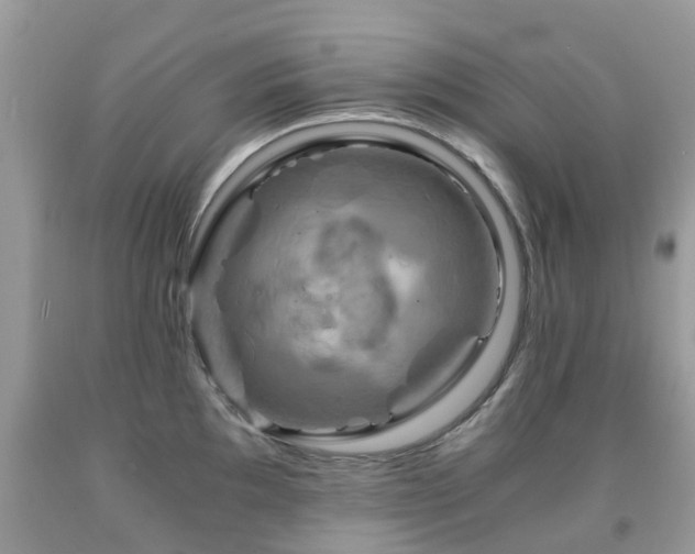 X0000092001097200709061434