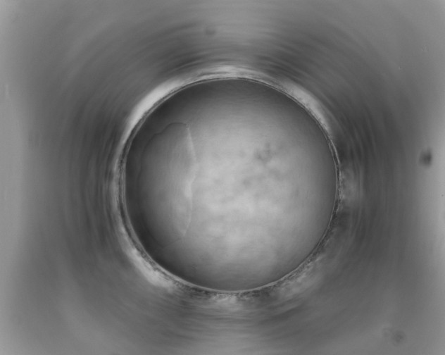 X0000092001098200709061434