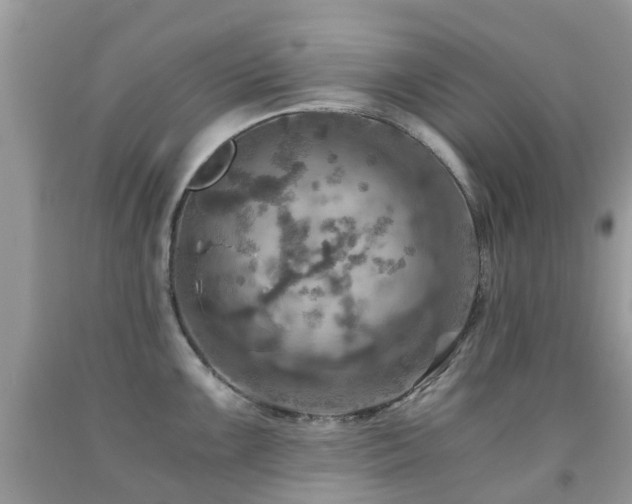 X0000092001099200709061434