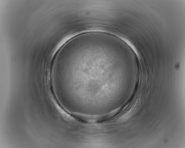 X0000092001101200709061434