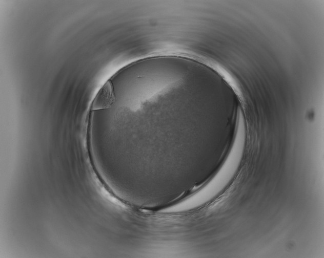 X0000092001102200709061434