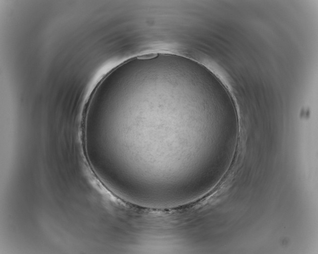 X0000092001104200709061434