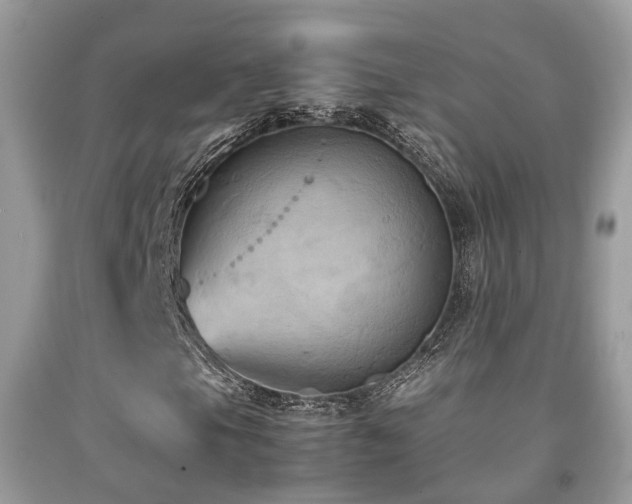 X0000092001105200709061433