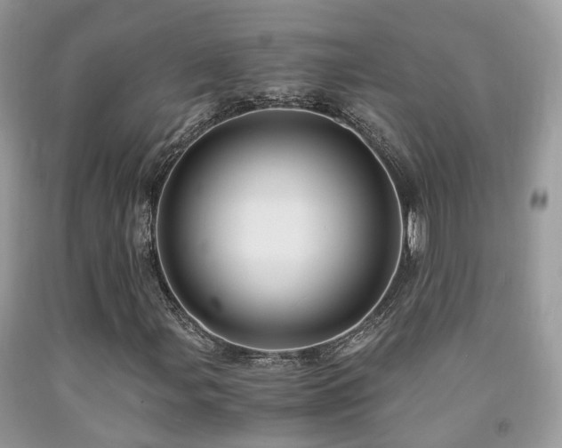 X0000092001107200709061433