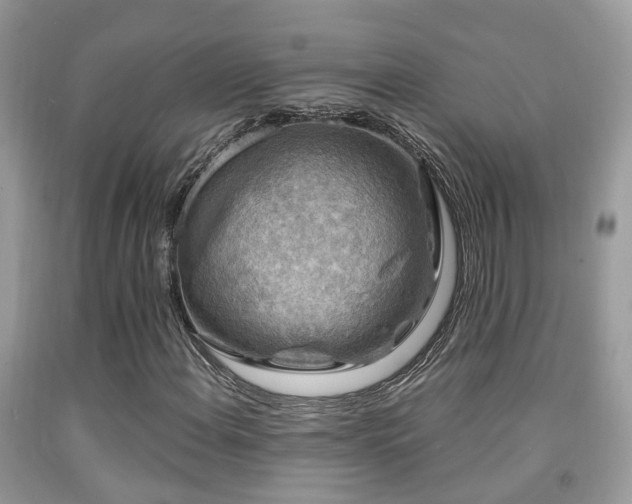 X0000092001108200709061433