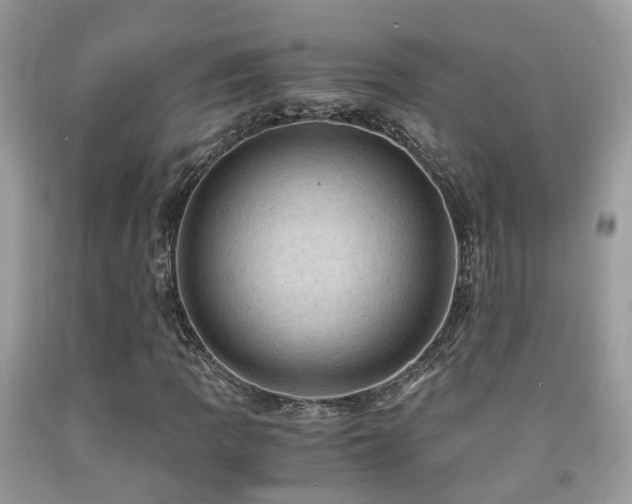 X0000092001109200709061433